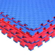 Reversible Puzzle Mats (RED/BLUE)