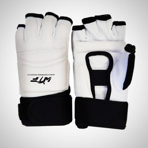AAMA Taekwondo Gloves